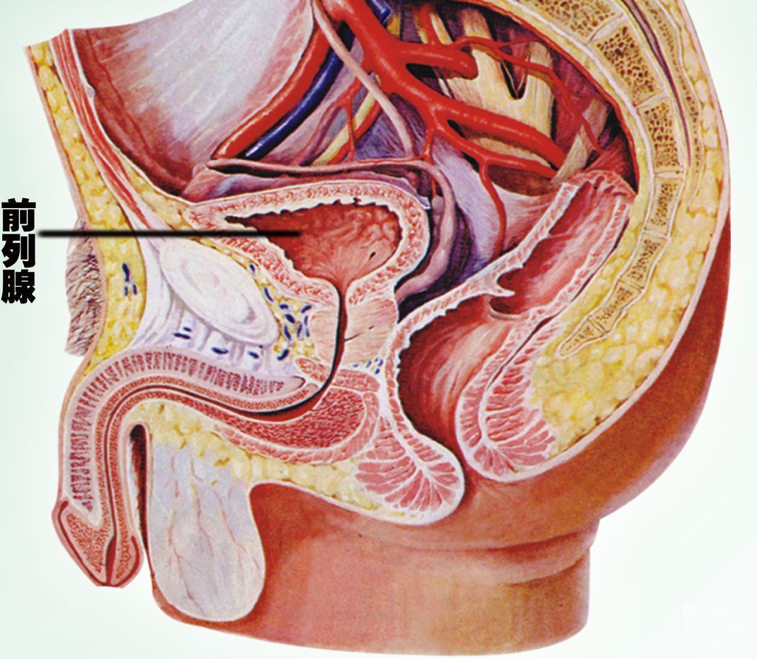 苏州专业男科医院