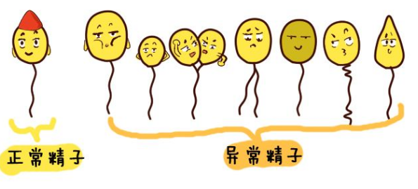 苏州男子医院哪个较好