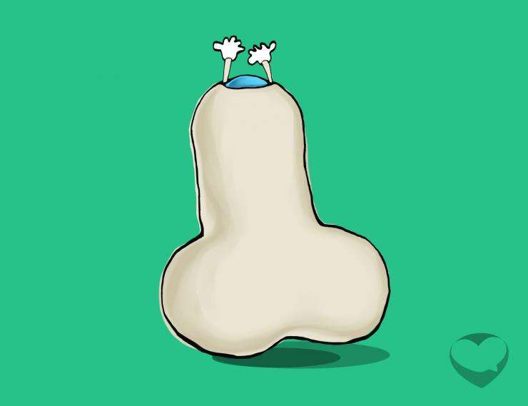 苏州包皮手术大概多少钱